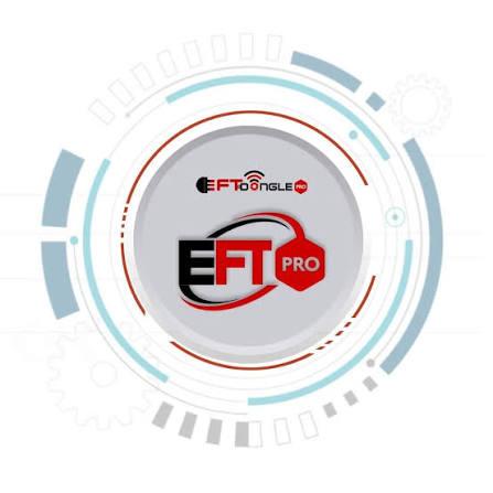 EFT Pro Tool [ Digital Login 2h)